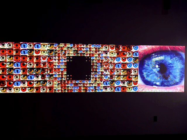 Iris mosaic prototype
